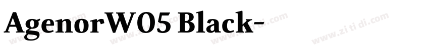 AgenorW05 Black字体转换